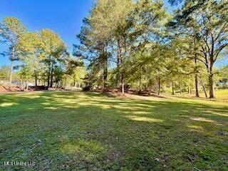 Homes for sale in Wesson, MS | 1029 Loom Street, Wesson, MS 39191 | MLS# NO2527574