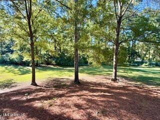 Homes for sale in Wesson, MS | 1029 Loom Street, Wesson, MS 39191 | MLS# NO2527574