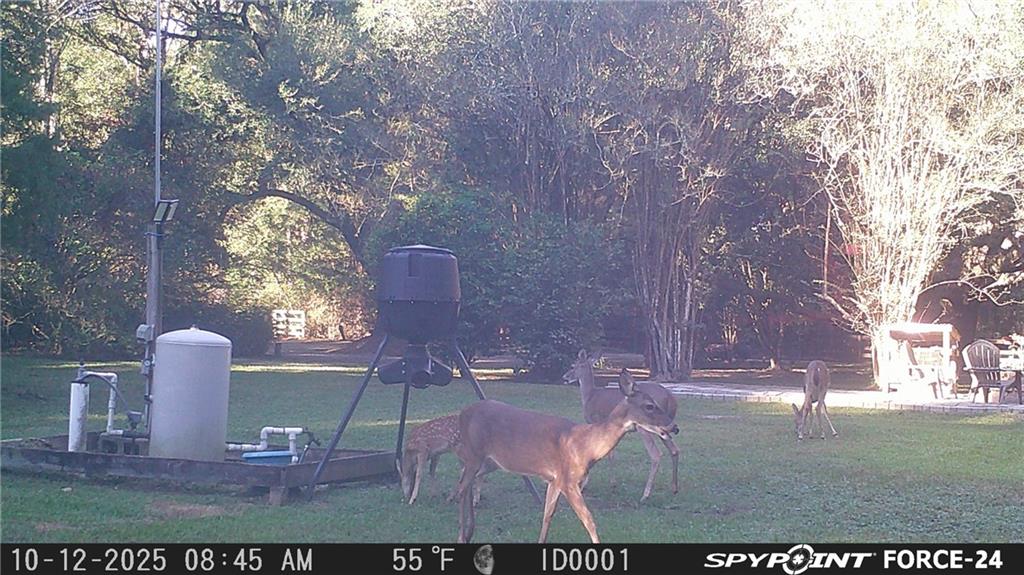 Homes for sale in Covington, LA | 75252 Tom Meyers Road, Covington, LA 70435 | MLS# NO2528067