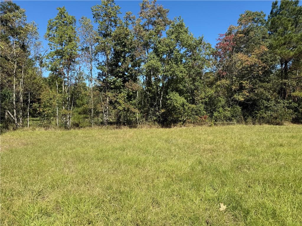 Homes for sale in Deville, LA | Tbd Aycock Road, Deville, LA 71328 | MLS# CN2528441