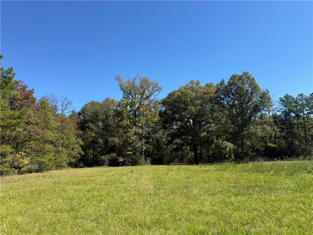 Homes for sale in Deville, LA | Tbd Aycock Road, Deville, LA 71328 | MLS# CN2528441