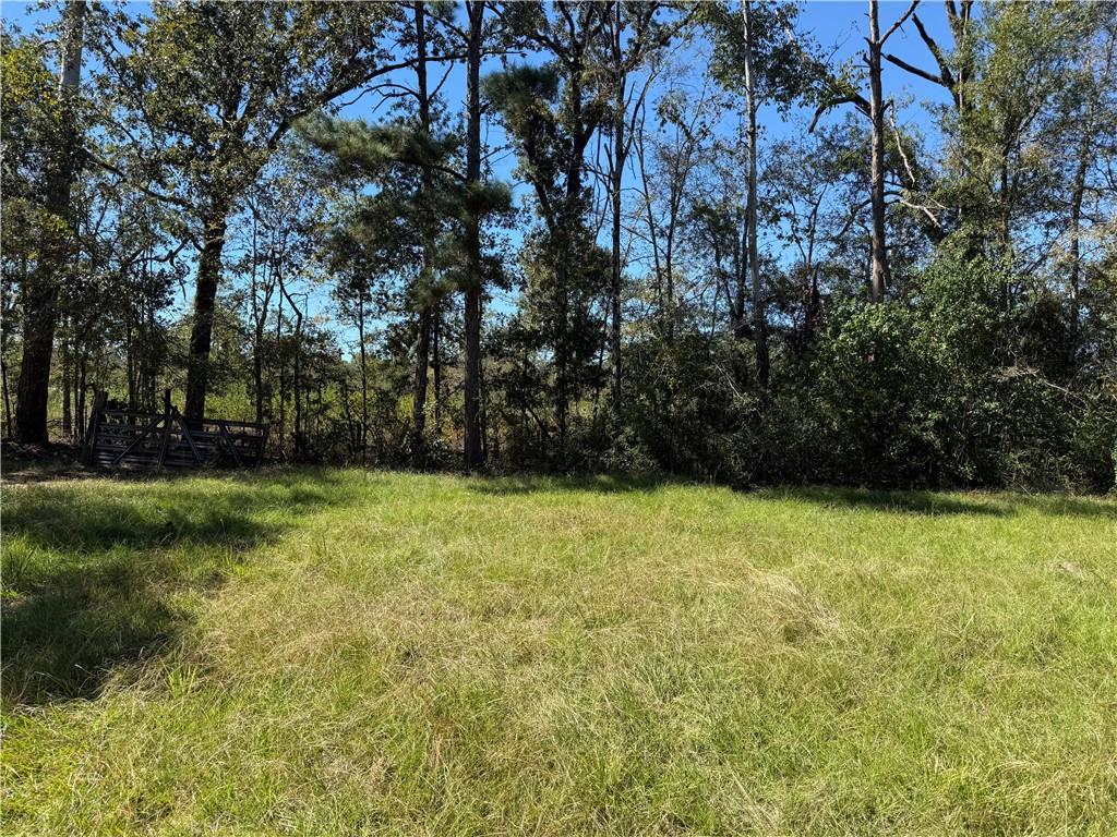 Homes for sale in Deville, LA | Tbd Aycock Road, Deville, LA 71328 | MLS# CN2528441