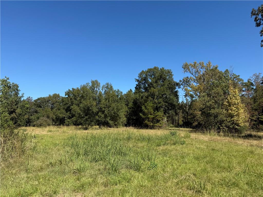 Homes for sale in Deville, LA | Tbd Aycock Road, Deville, LA 71328 | MLS# CN2528441