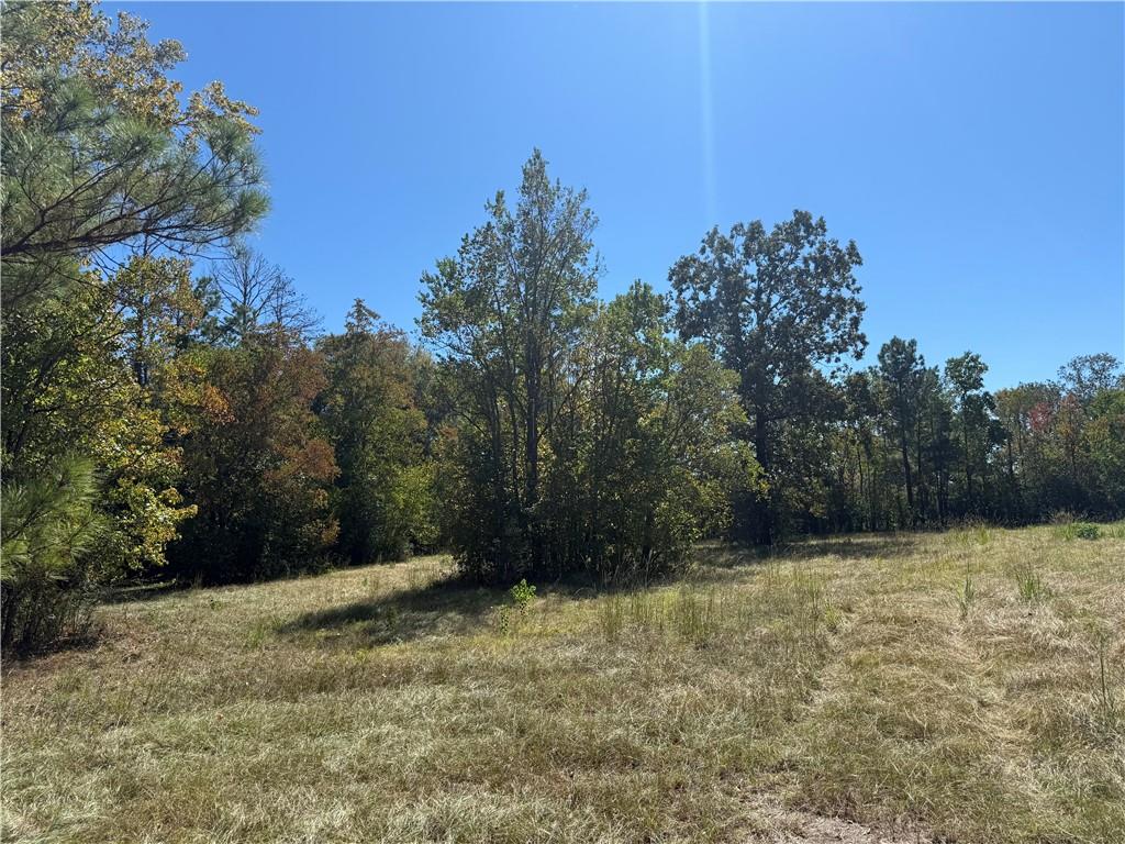 Homes for sale in Deville, LA | Tbd Aycock Road, Deville, LA 71328 | MLS# CN2528441