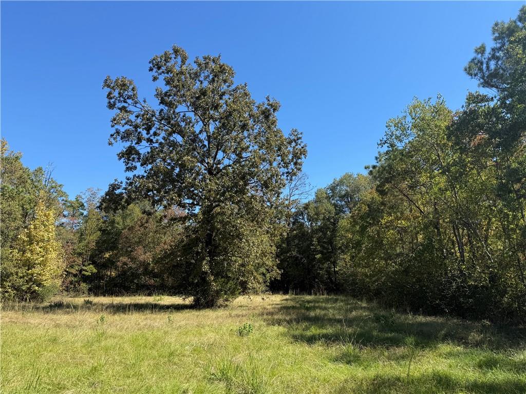 Homes for sale in Deville, LA | Tbd Aycock Road, Deville, LA 71328 | MLS# CN2528441