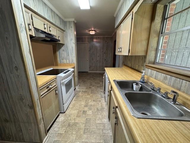 Homes for sale in Alexandria, LA | 6823 Isabella Dr, Alexandria, LA 71301 | MLS# CN2528585