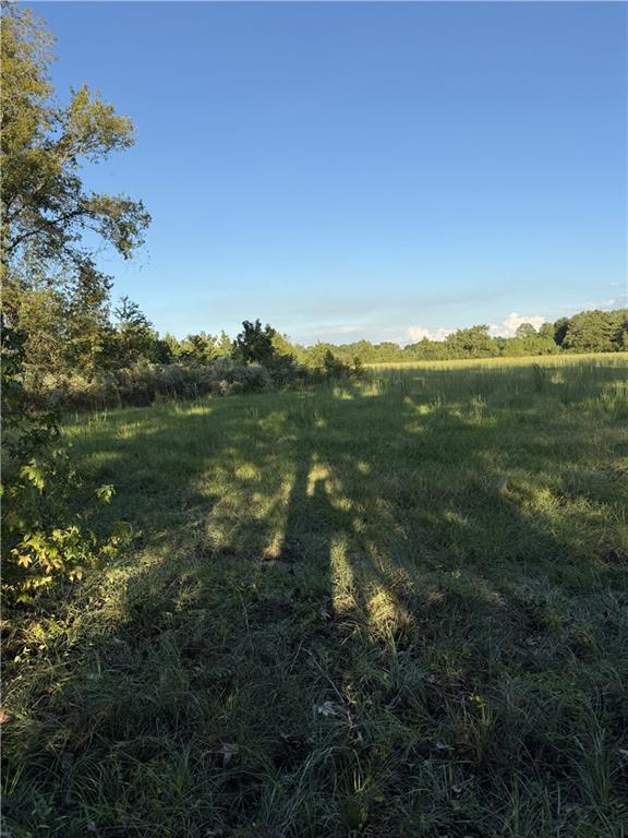 Homes for sale in Hessmer, LA | Tbd Eustis Lane, Hessmer, LA 71341 | MLS# CN2530207