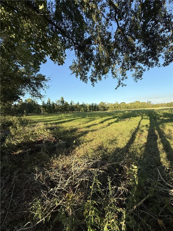 Homes for sale in Hessmer, LA | Tbd Eustis Lane, Hessmer, LA 71341 | MLS# CN2530207