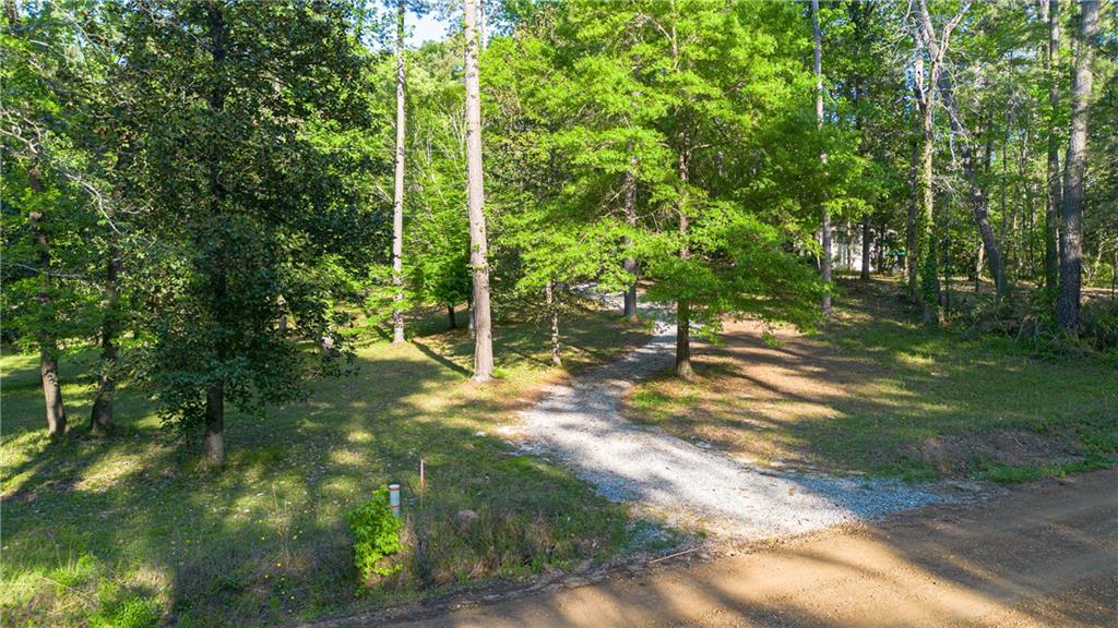 Homes for sale in Pollock, LA | 180 Windywood Lane, Pollock, LA 71467 | MLS# CN2530415