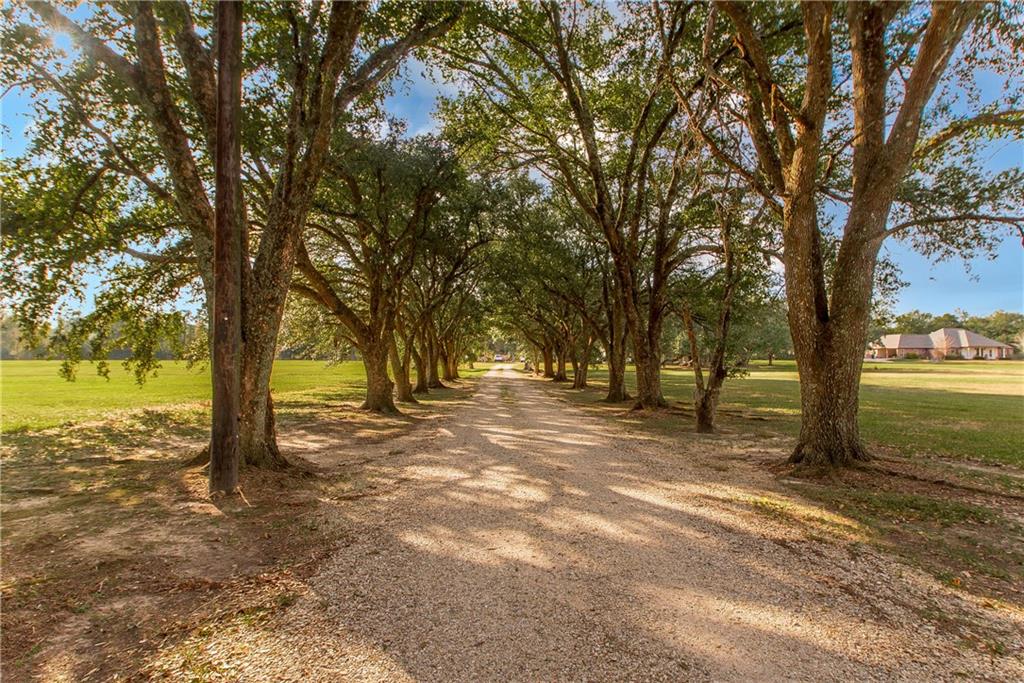 Homes for sale in Springfield, LA | 30997 La 22 Hwy, Springfield, LA 70462 | MLS# NO2530726