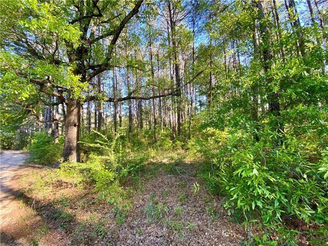 Homes for sale in Bogalusa, LA | 17197 &17203 Skeet Statham Road, Bogalusa, LA 70427 | MLS# NO2532091