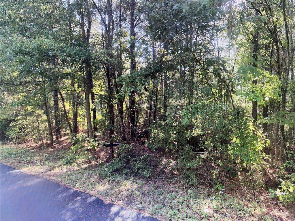 Homes for sale in Goldonna, LA | Tbd Goldonna Road, Goldonna, LA 71031 | MLS# CN2533187