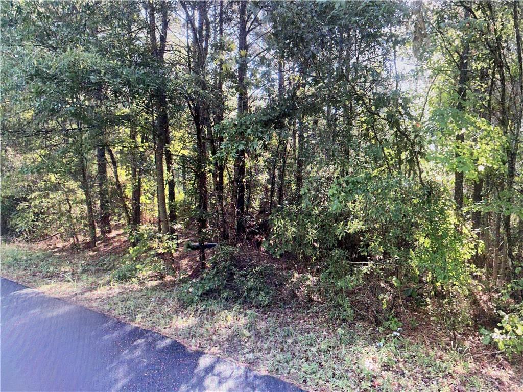 Homes for sale in Goldonna, LA | Tbd Goldonna Road, Goldonna, LA 71031 | MLS# CN2533187