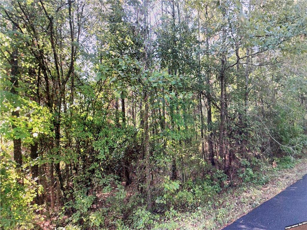 Homes for sale in Goldonna, LA | Tbd Goldonna Road, Goldonna, LA 71031 | MLS# CN2533187