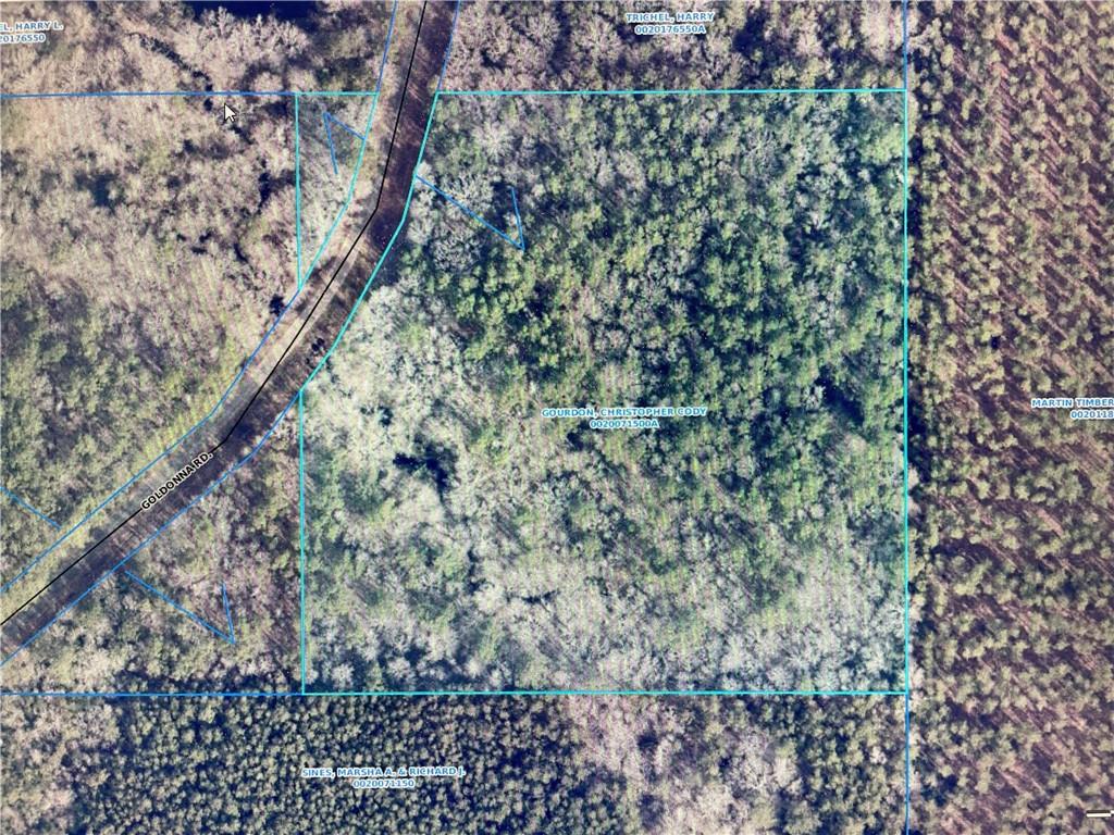 Homes for sale in Goldonna, LA | Tbd Goldonna Road, Goldonna, LA 71031 | MLS# CN2533187