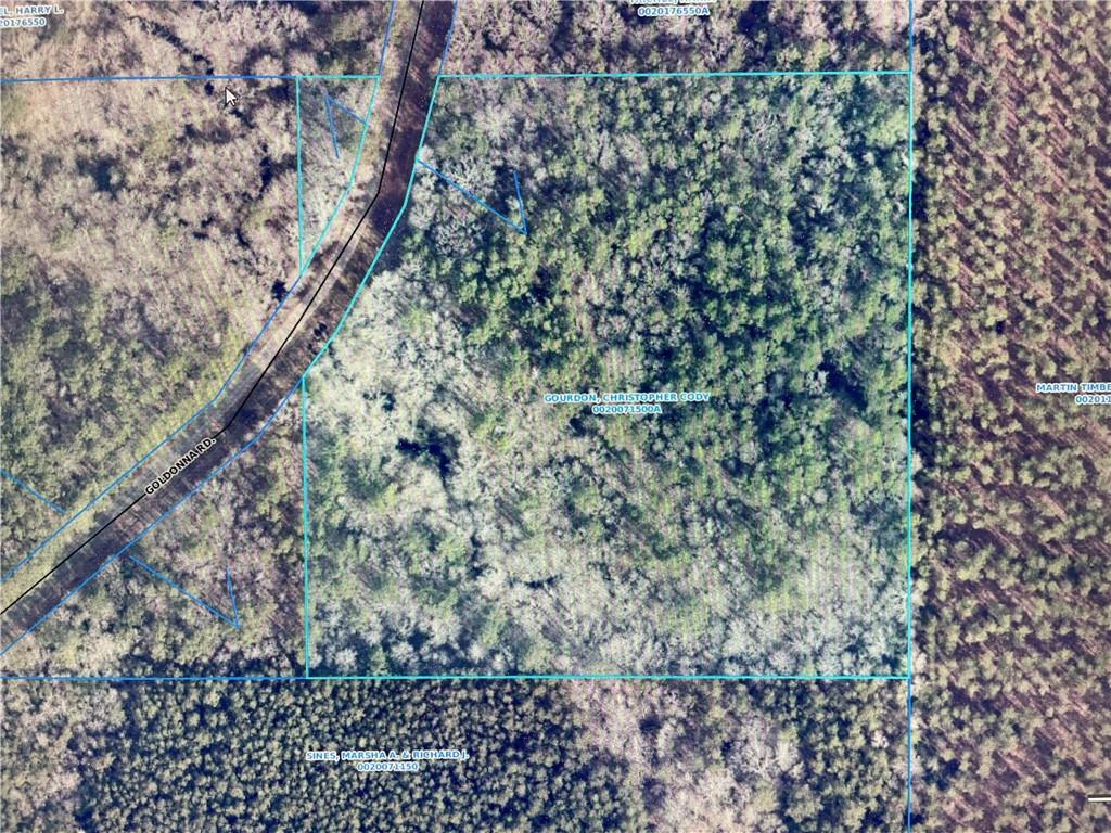 Homes for sale in Goldonna, LA | Tbd Goldonna Road, Goldonna, LA 71031 | MLS# CN2533187