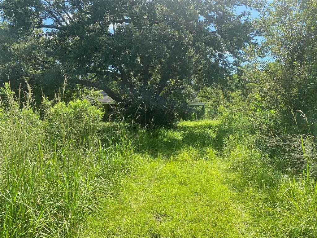 Homes for sale in Braithwaite, LA | Hwy 39 Hwy, Braithwaite, LA 70040 | MLS# NO2533850