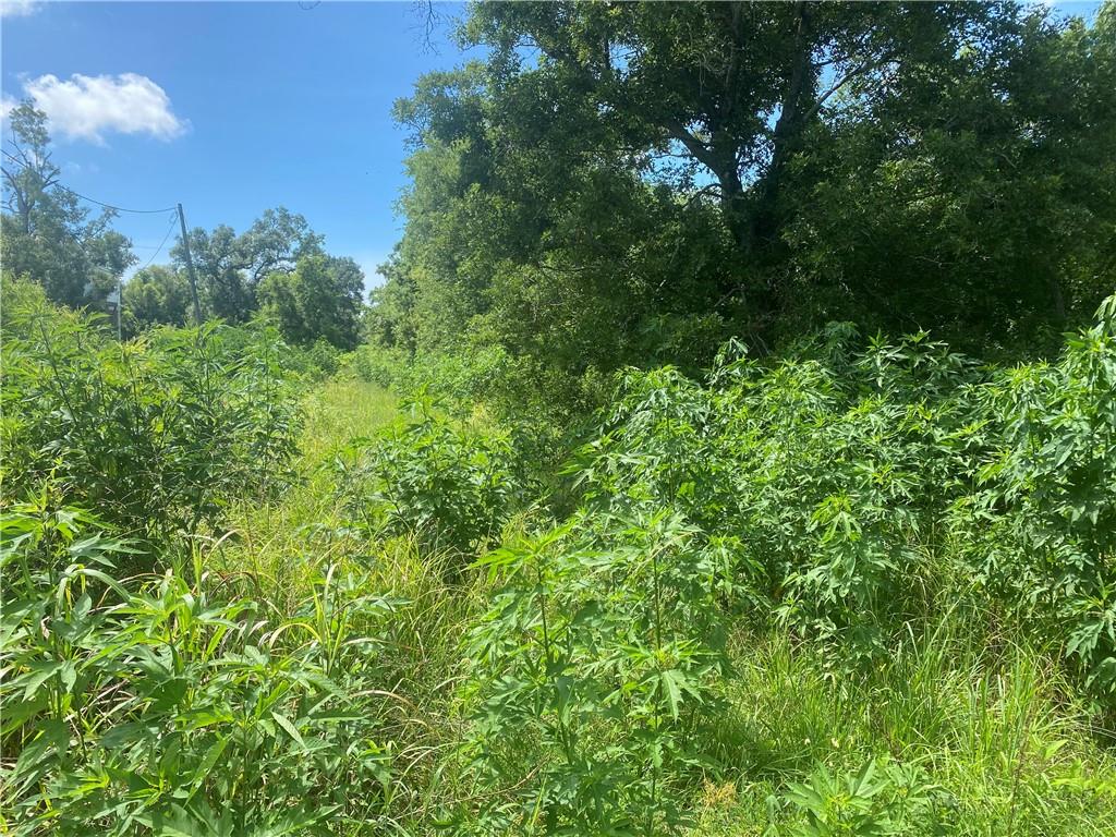 Homes for sale in Braithwaite, LA | Hwy 39 Hwy, Braithwaite, LA 70040 | MLS# NO2533850