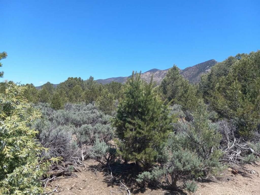 xx Jedidiah Rd, el rito, NM 87556 (MLS 111736) Taos Homes Real Estate