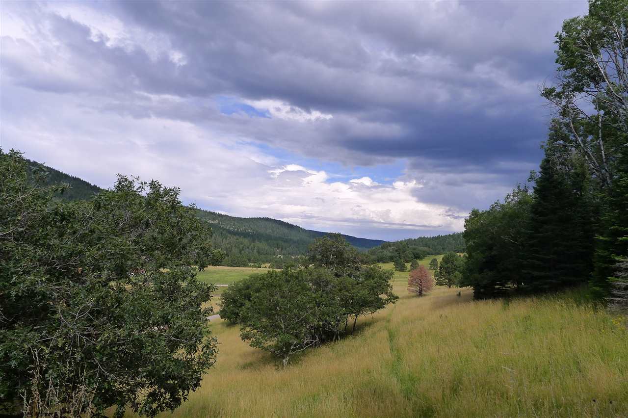 Land for sale in Cloudcroft, New Mexico, 166408
