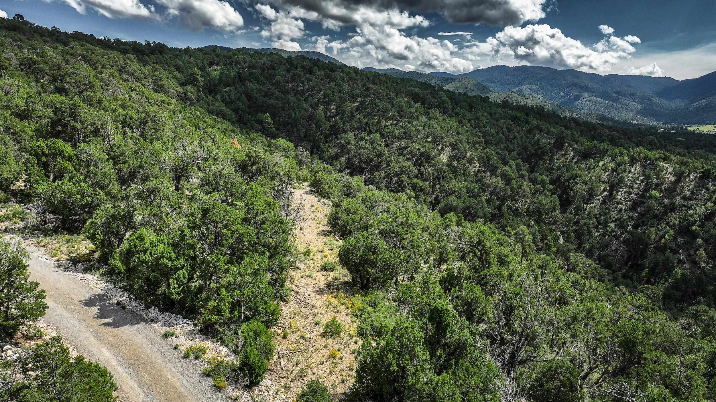 Land for sale in High Rolls Mountain Park, New Mexico, 167172