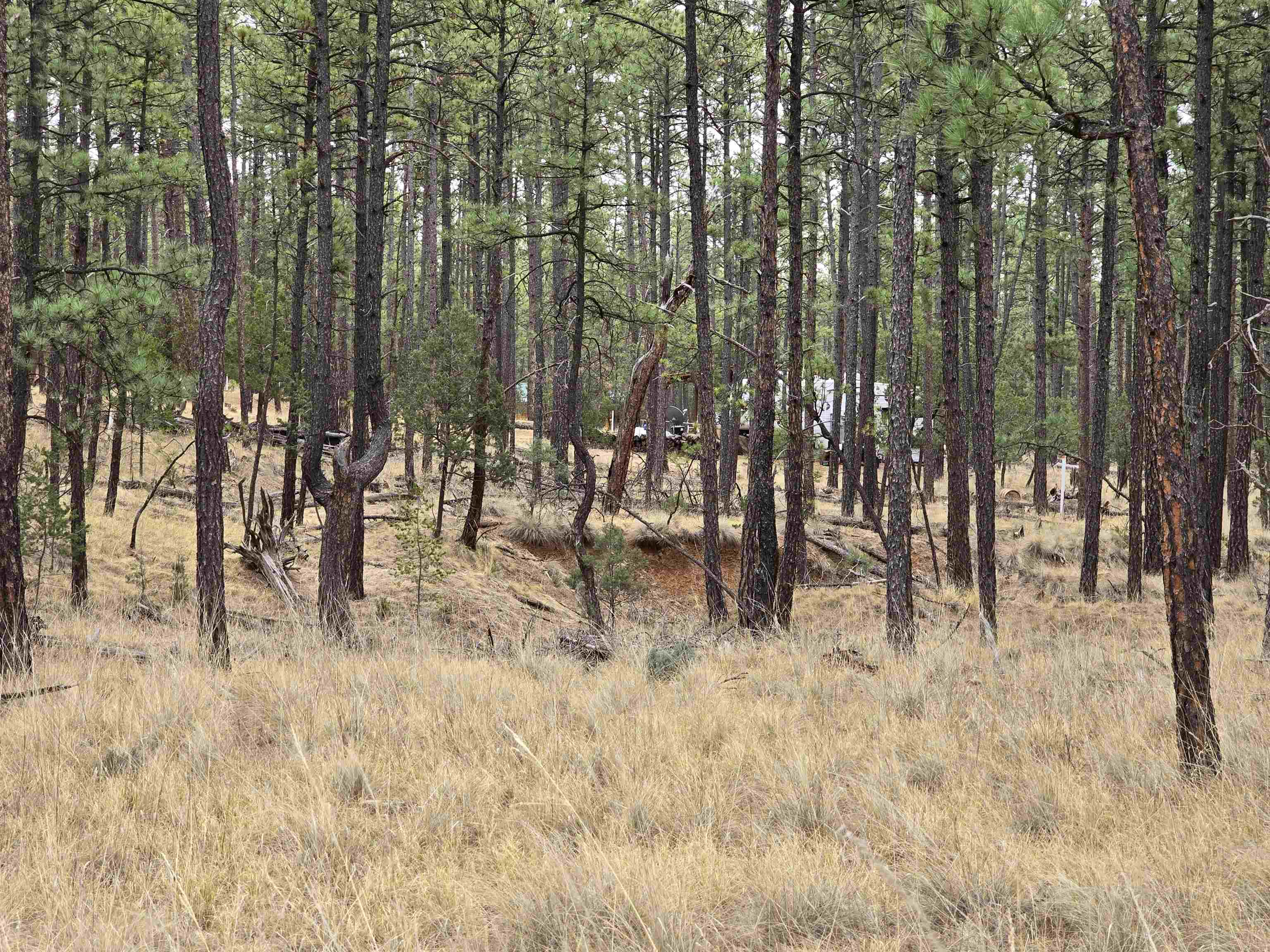 Land for sale in Timberon, New Mexico, 169118