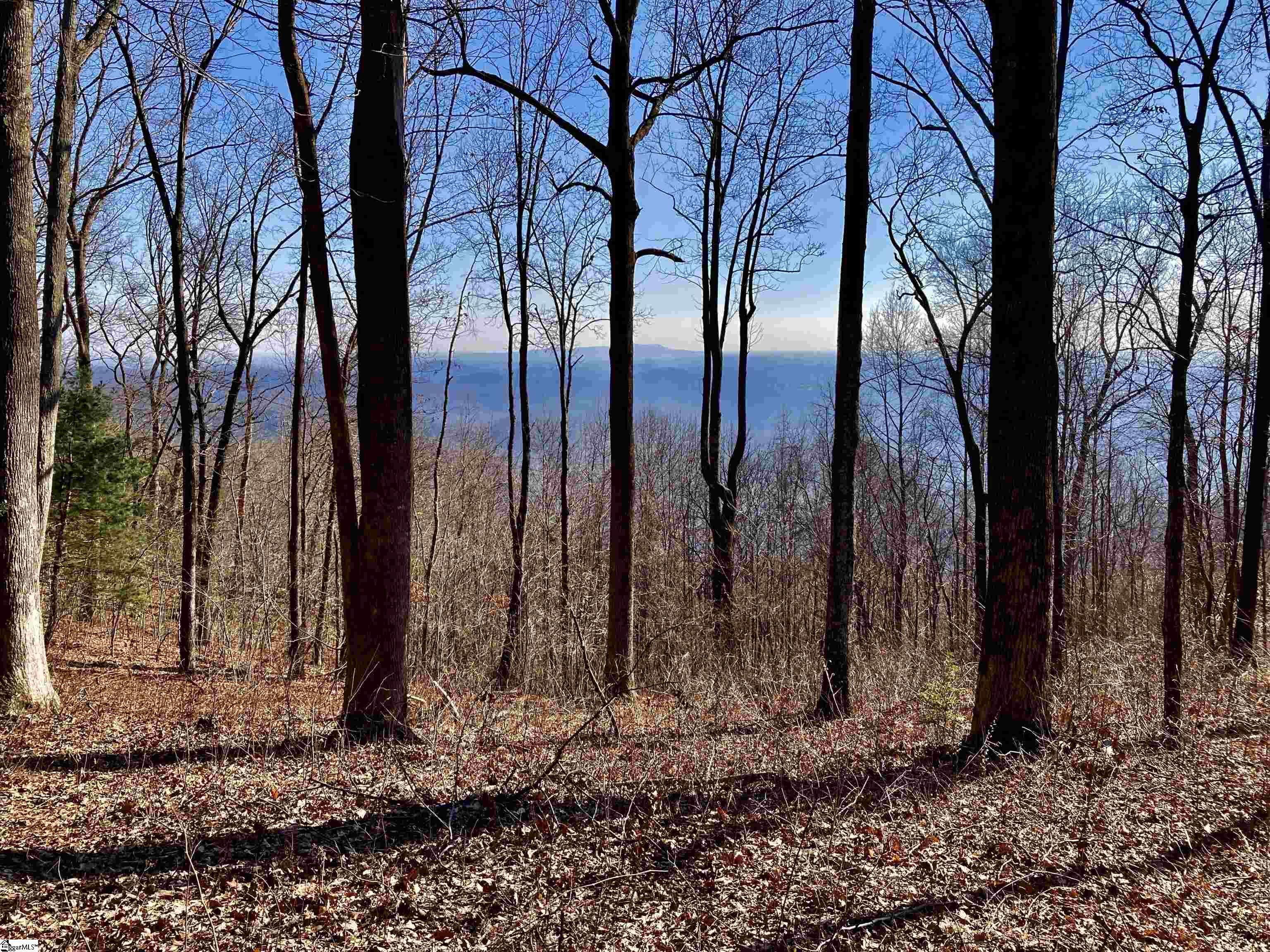 Land for sale in Travelers Rest, South Carolina, 1347262