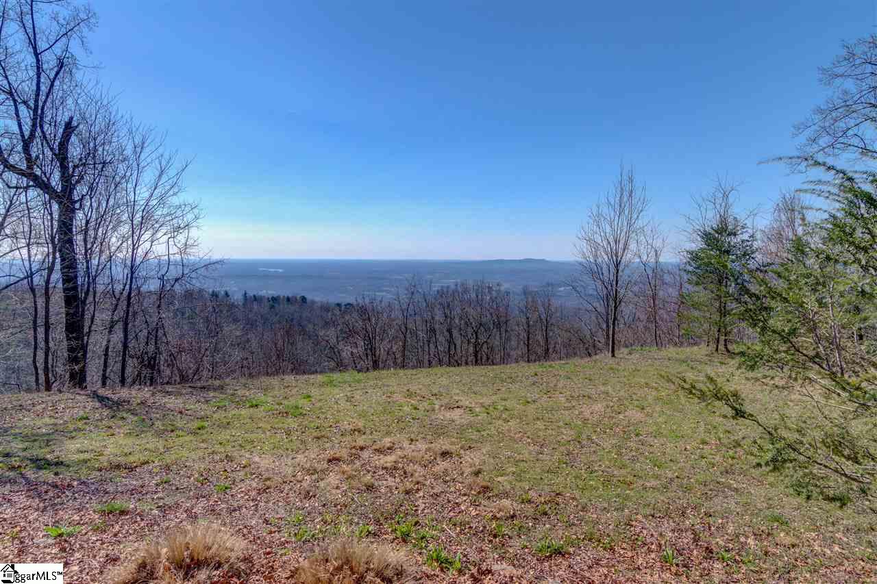 Land for sale in Landrum, South Carolina, 1373701