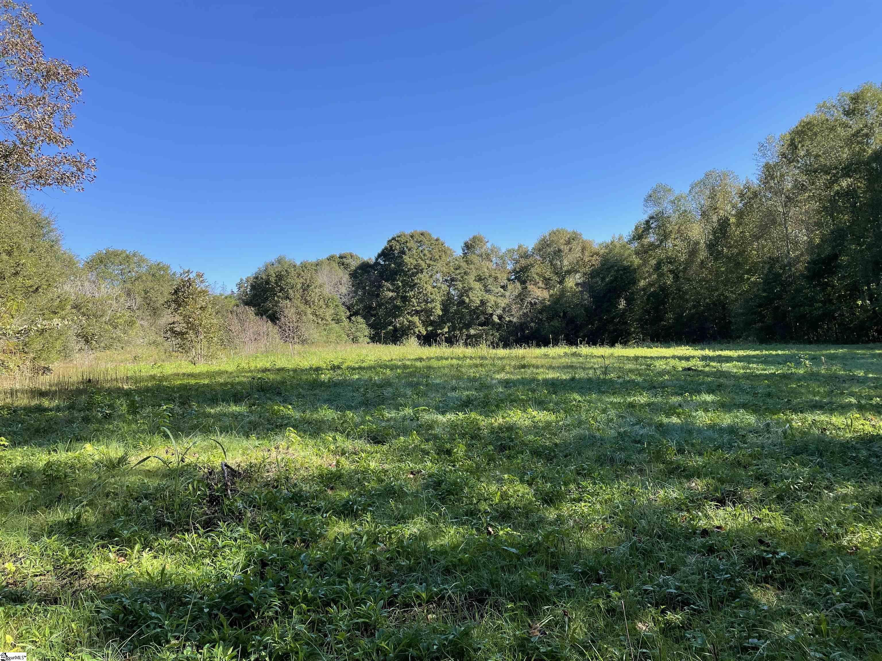 42 Unrestricted Acres with quick, easy, access to I-85, centrally located between Anderson and Greenville makes this the perfect location!  Property features, pond, pasture, mixed hardwoods and creek and is perfect for hunting, horses or farming.  Property has two wells, public water, natural gas and electric available for installation at road.  Anderson District One Schools.   Only 12-15 miles to Anderson, Easley or Greenville!   Easy to walk and see property, appointment required.