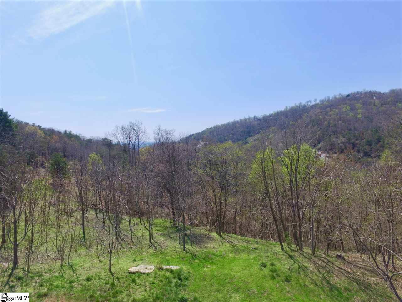 Land for sale in Landrum, South Carolina, 1430253