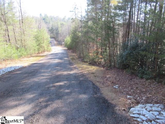 305 Falcon Crest Way, Pickens SC 29671