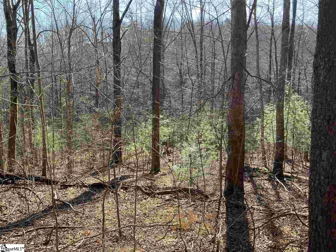 135 Morning Glory, Landrum, South Carolina image 2