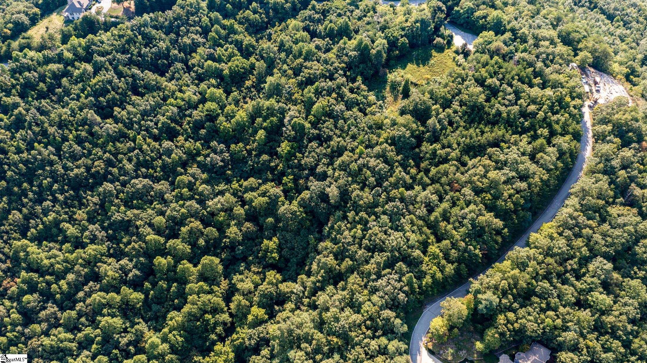 312 Foggy Cut, Landrum, South Carolina image 4
