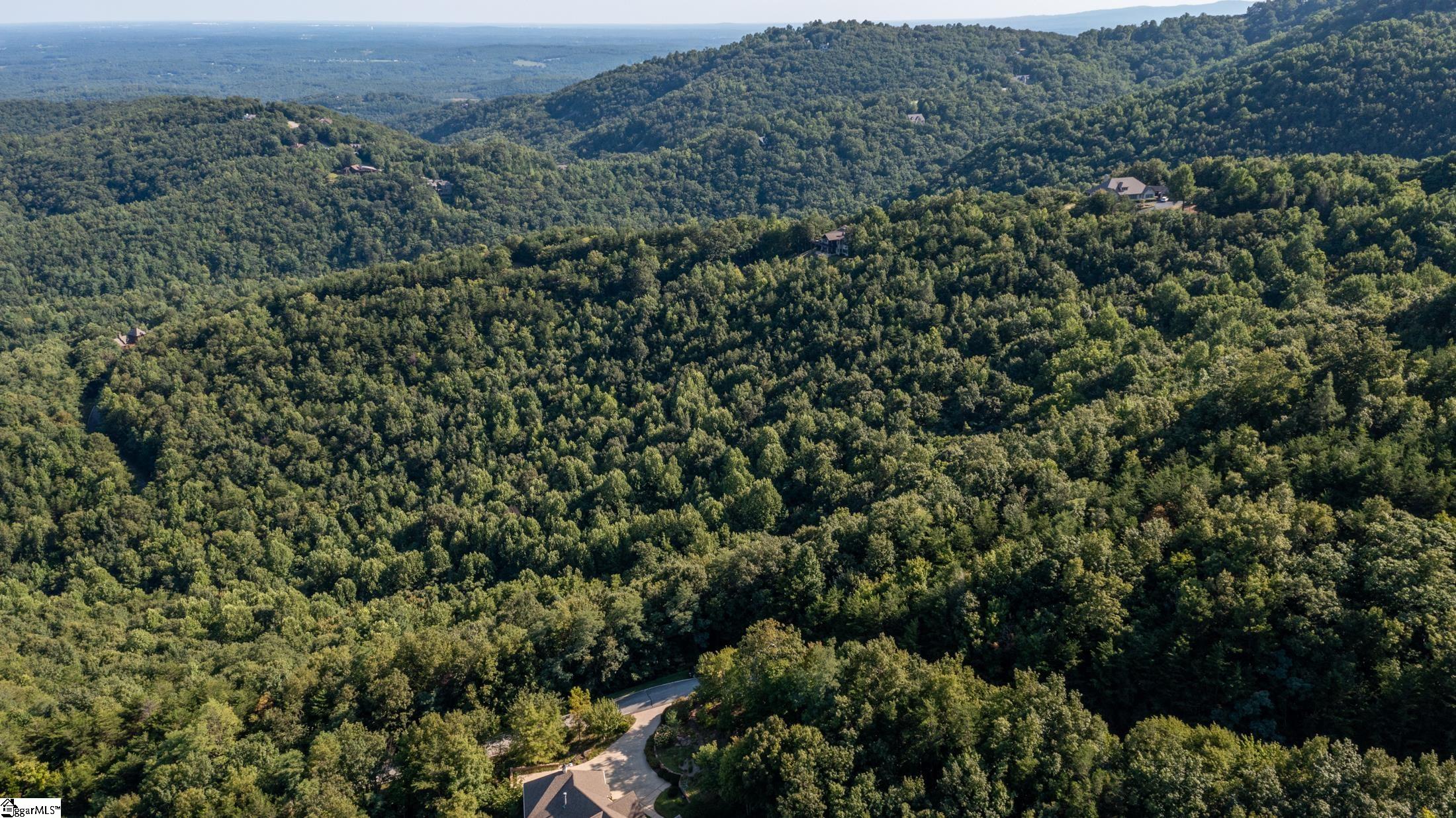 312 Foggy Cut, Landrum, South Carolina image 8