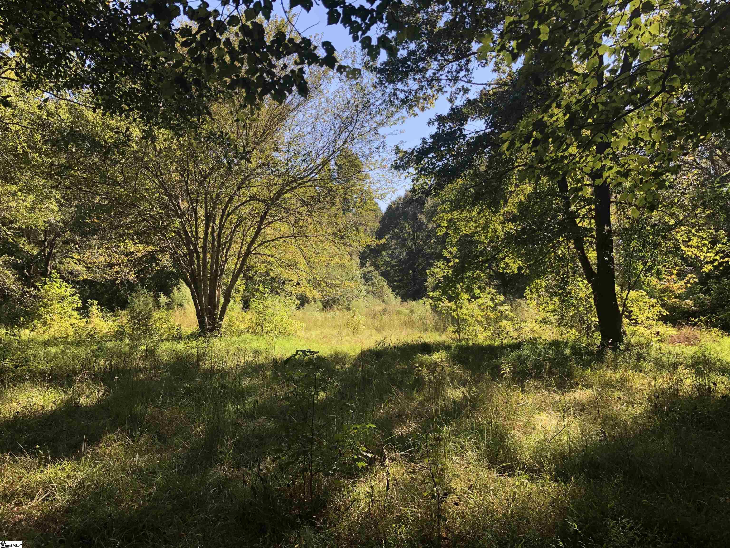 Tract 1 Griffin Road, Belton, SC 29627