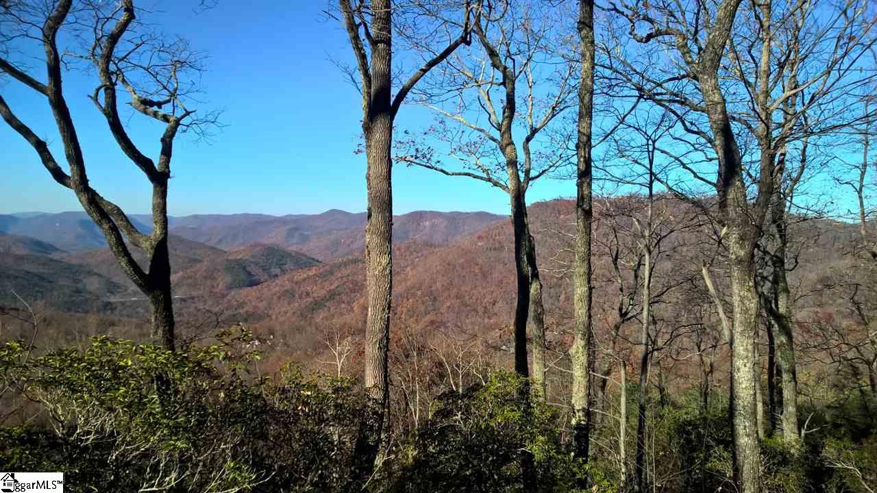 207 Night Crest, Travelers Rest, South Carolina image 3