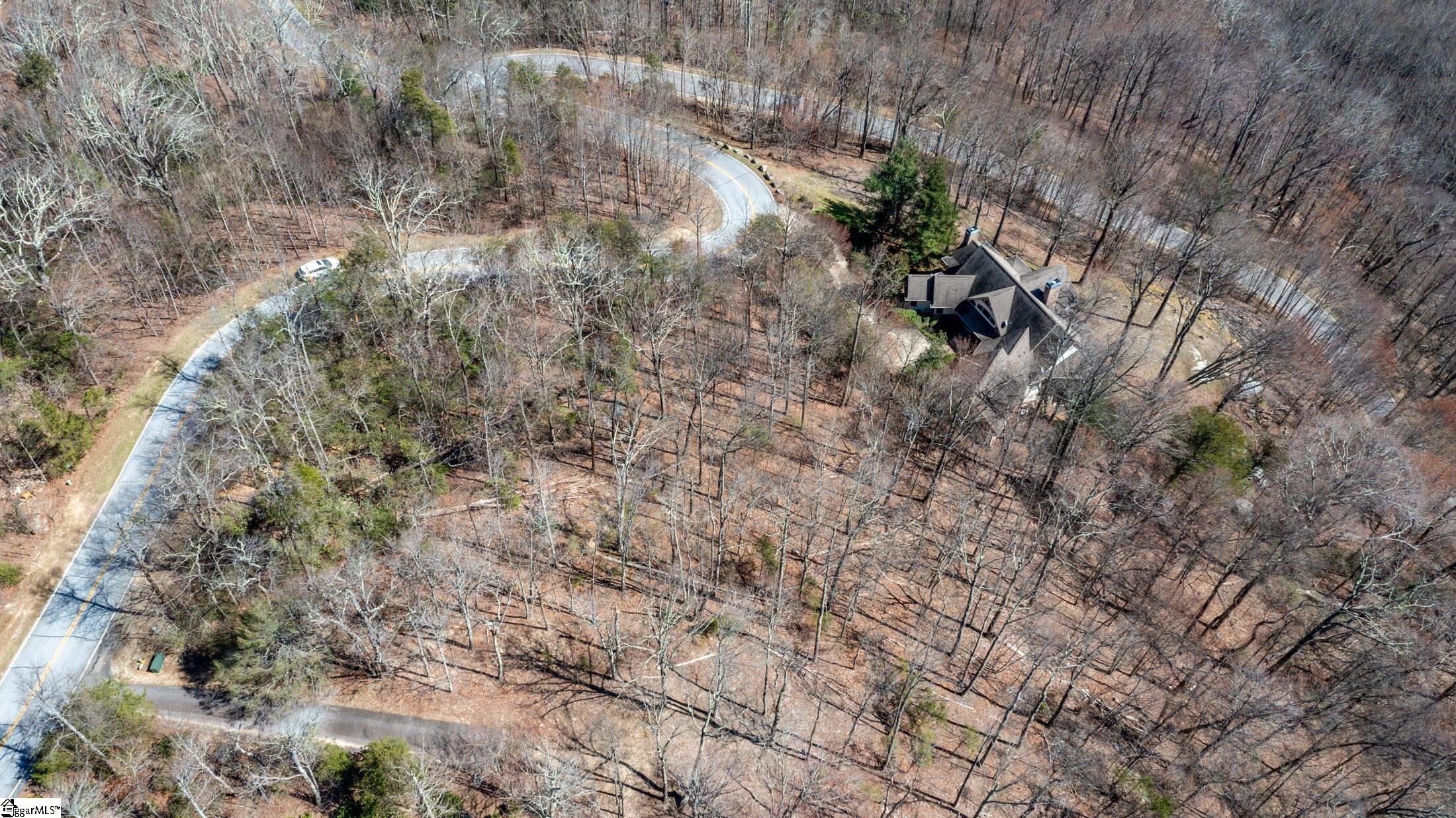 16 Lost Trail, Landrum, South Carolina image 14