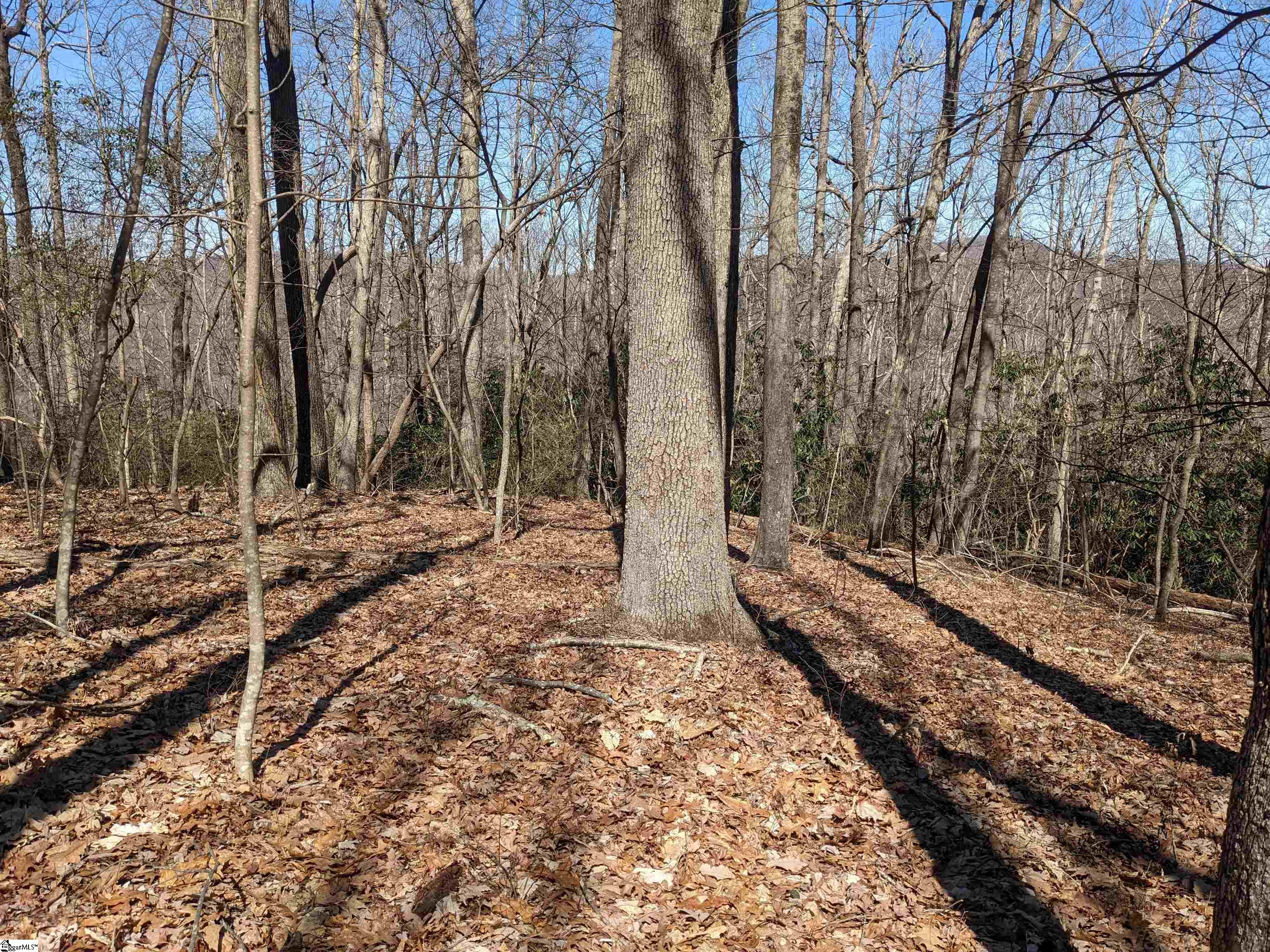 108 Conifer Falls Road, Cleveland SC 29635