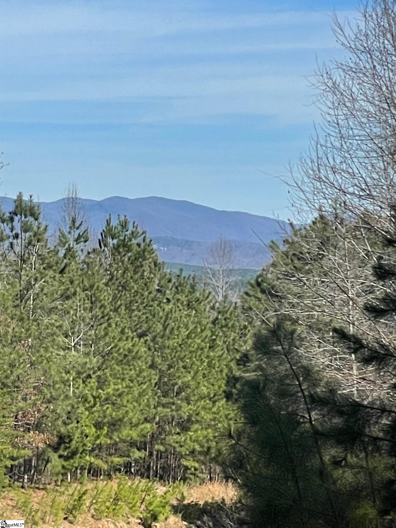 2+ acre estate lot (option for more acreage) with nice building envelope for main and lower level home.  View of mountains from drive entrance and seasonal mountain peaks view through trees during winter. This lot is less than 1/2 mile inside the main Springs gate affording easy access and egress to community amenities as well as nearby towns, only 15 minutes to Clemson. Great lot for access to the many amenities offered by the Cliffs at Keowee Springs.  If seeking a larger estate parcel, call listing agent about adjoining lots which could be packaged for a larger parcel.  Cliffs membership available for separate purchase.