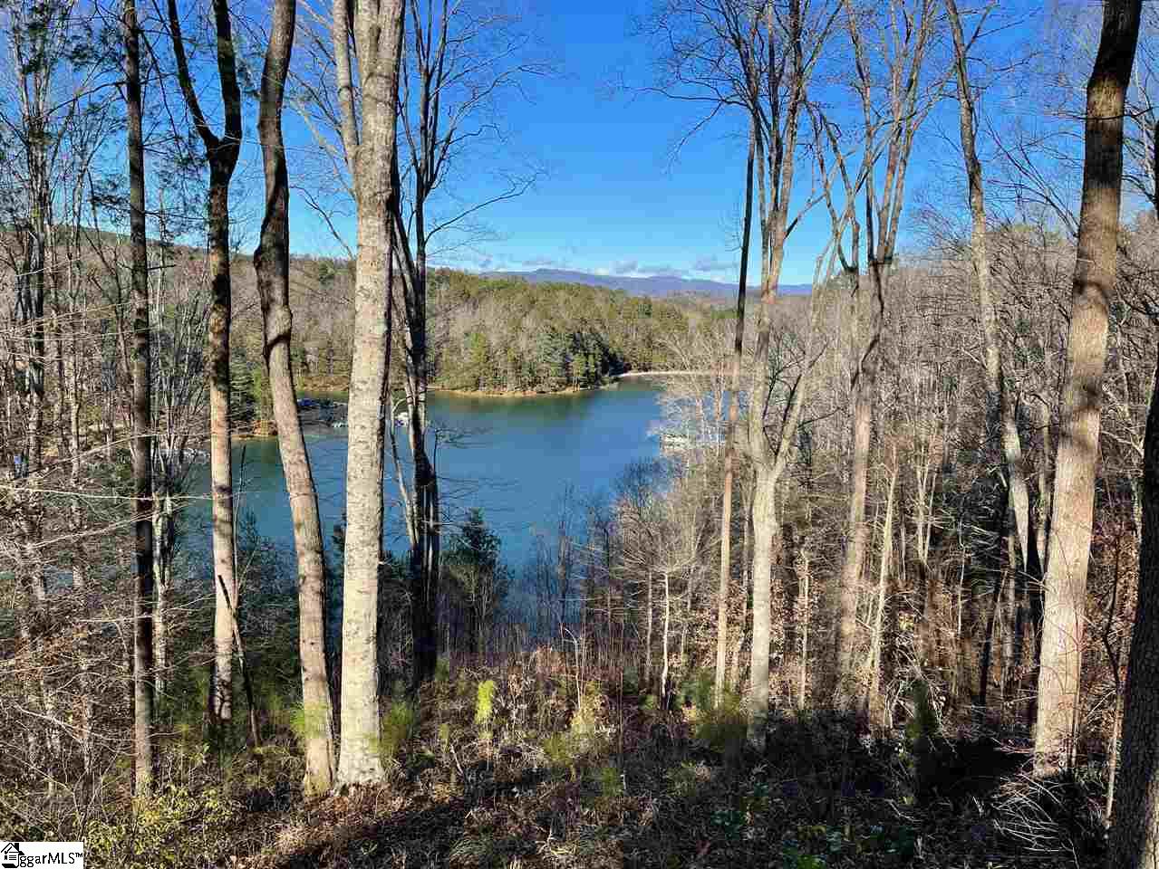 533 Shooting Tree, Salem, SC 29676