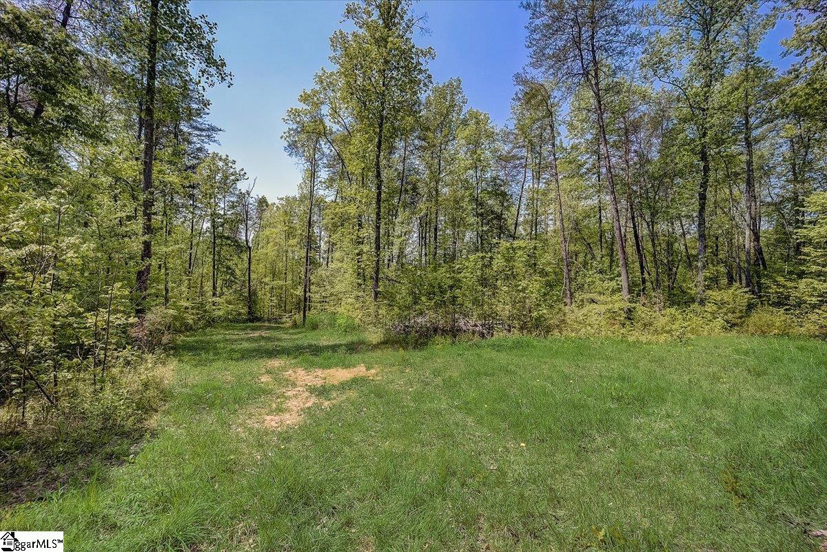 2565 Moorefield Memorial Highway, Pickens, SC 29671