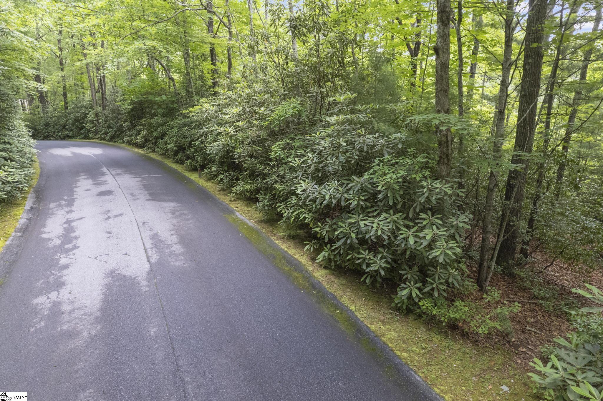 00 Mountain Laurel, Cleveland SC 29635
