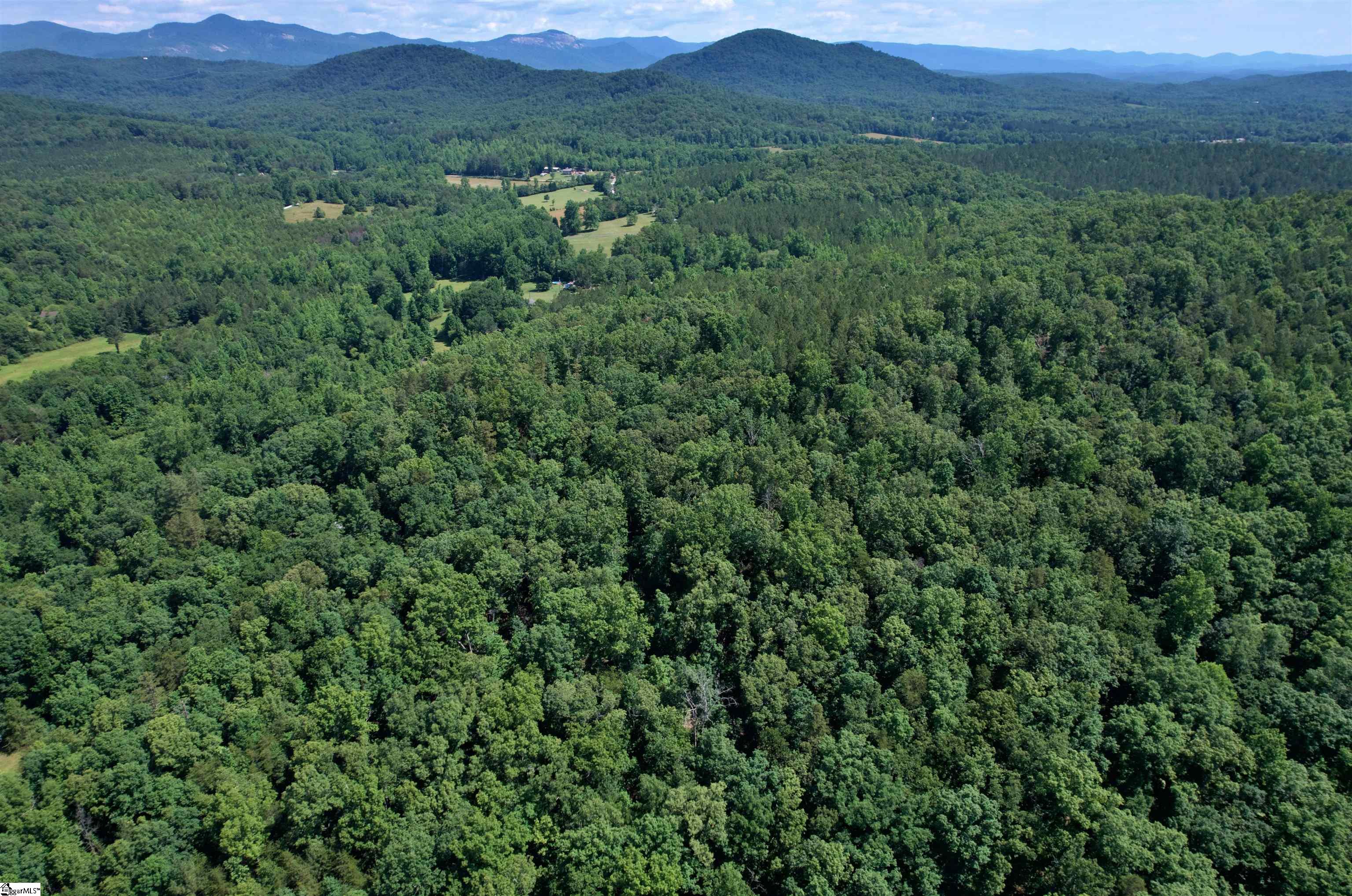00 Childress Rd/Moorefield Memorial Highway, Pickens SC 29671