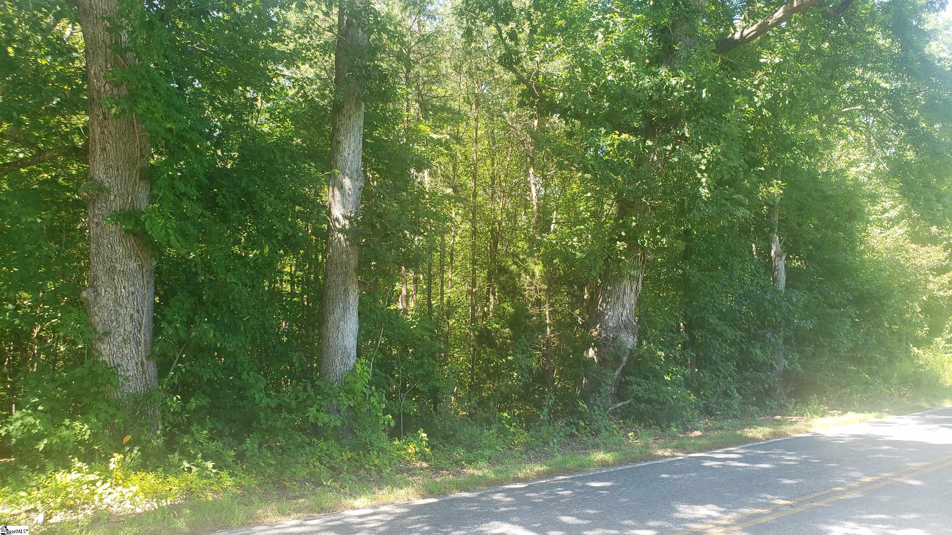 109 Tugaloo Road, Landrum SC 29356