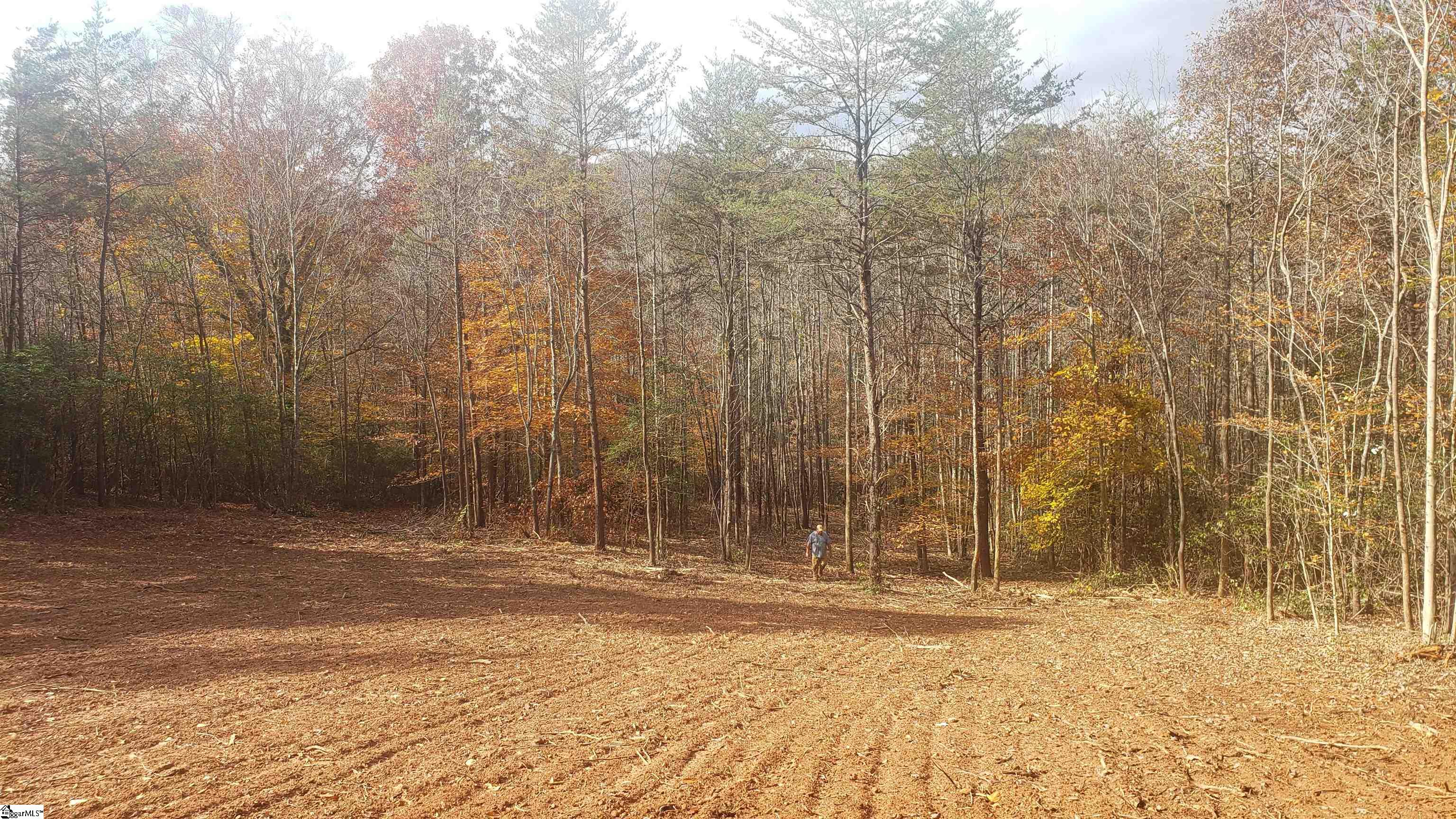 119 Tugaloo Road, Landrum SC 29356