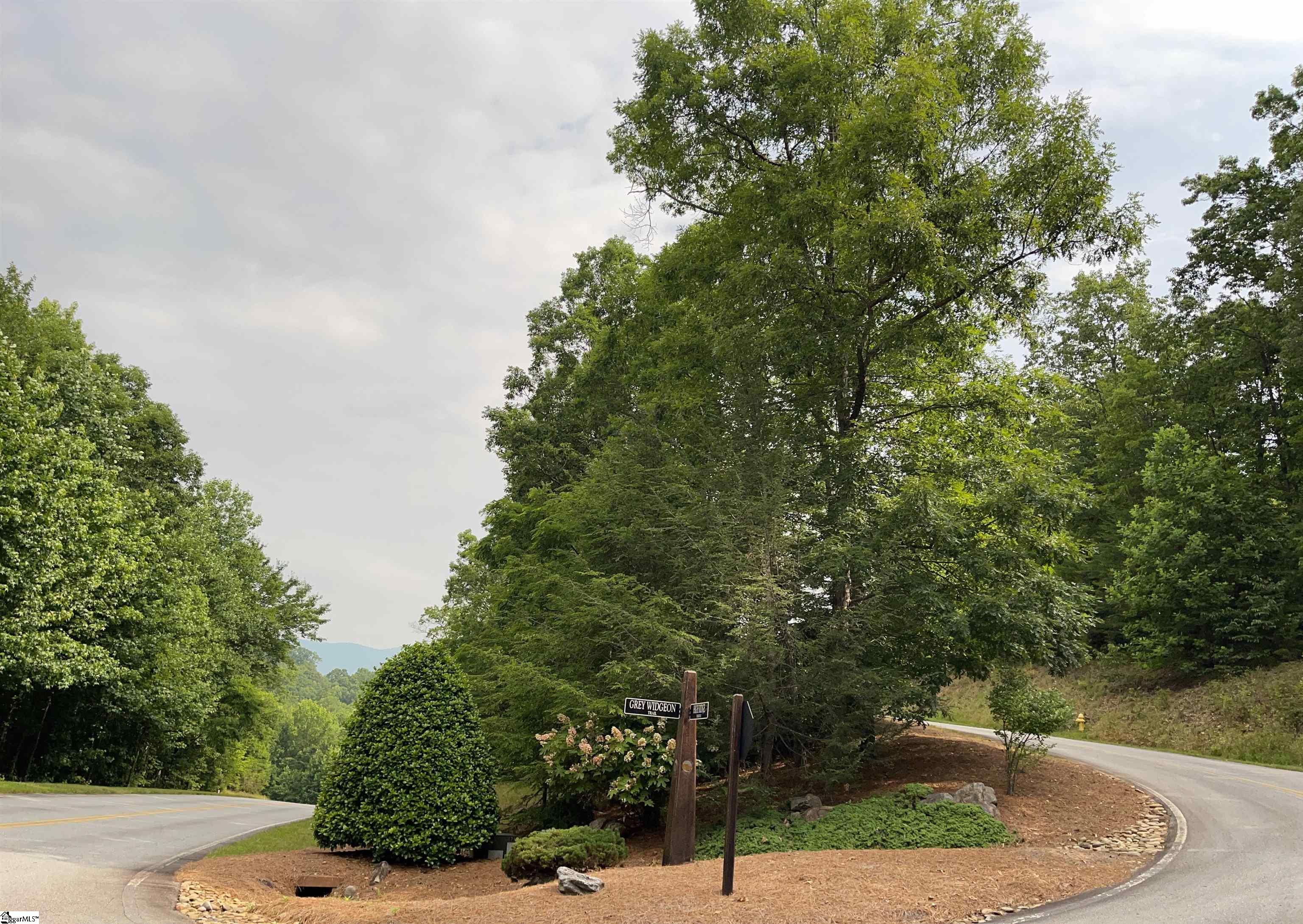 101 Grey Widgeon Trail, Marietta SC 29661