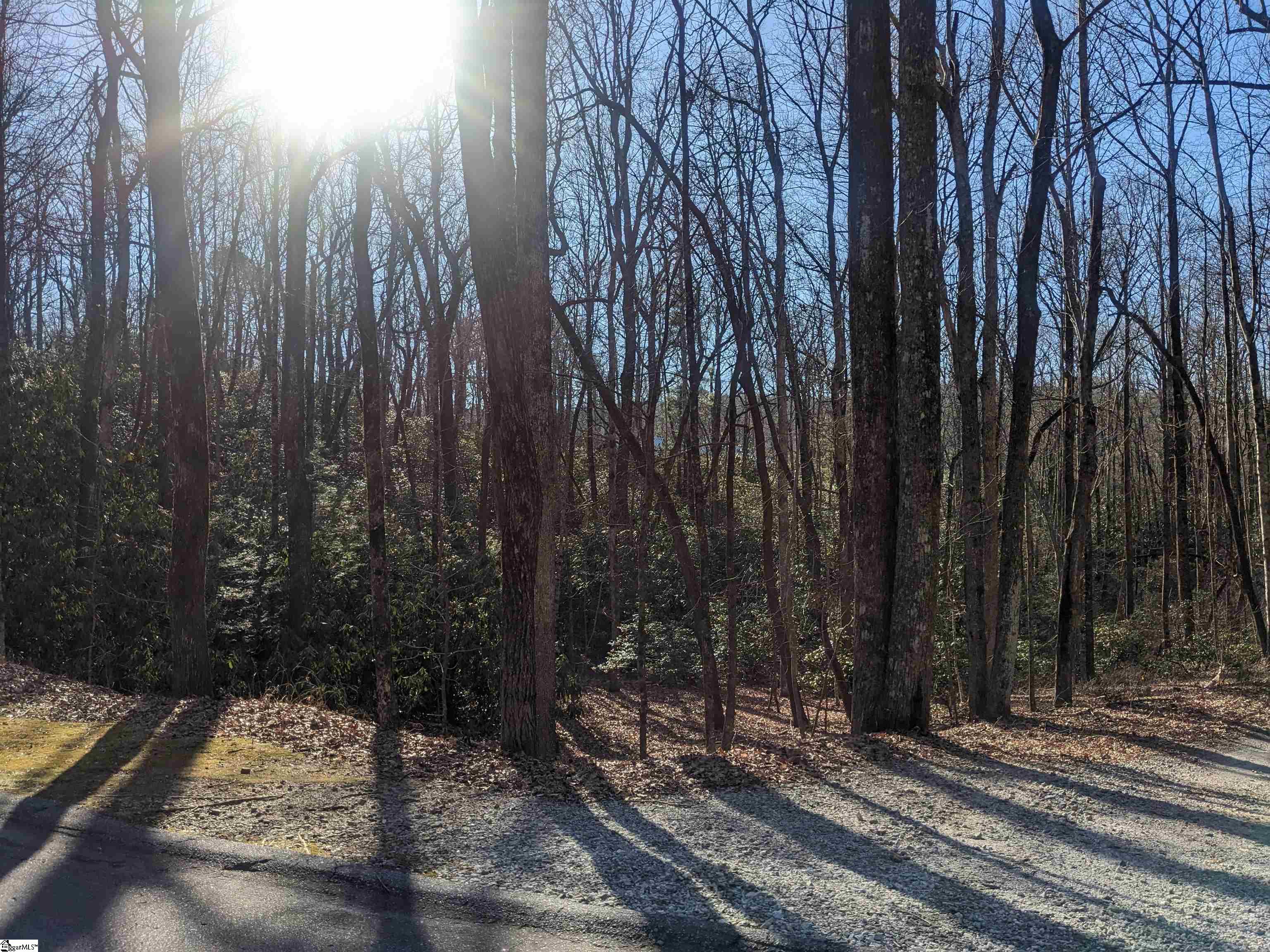 115 Rhododendron, Cleveland SC 29635