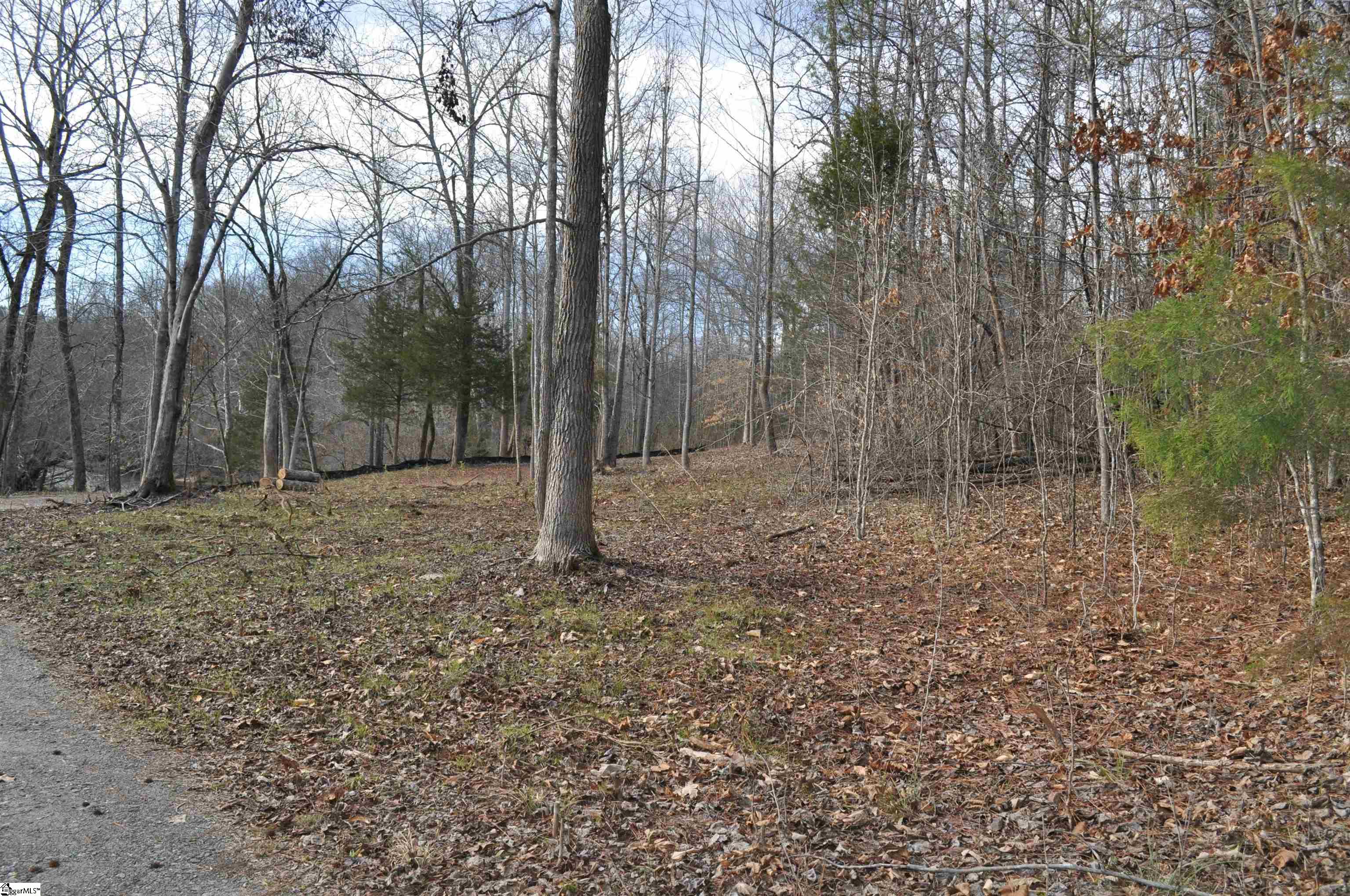 River Crest Road Rutherfordton, NC 28139