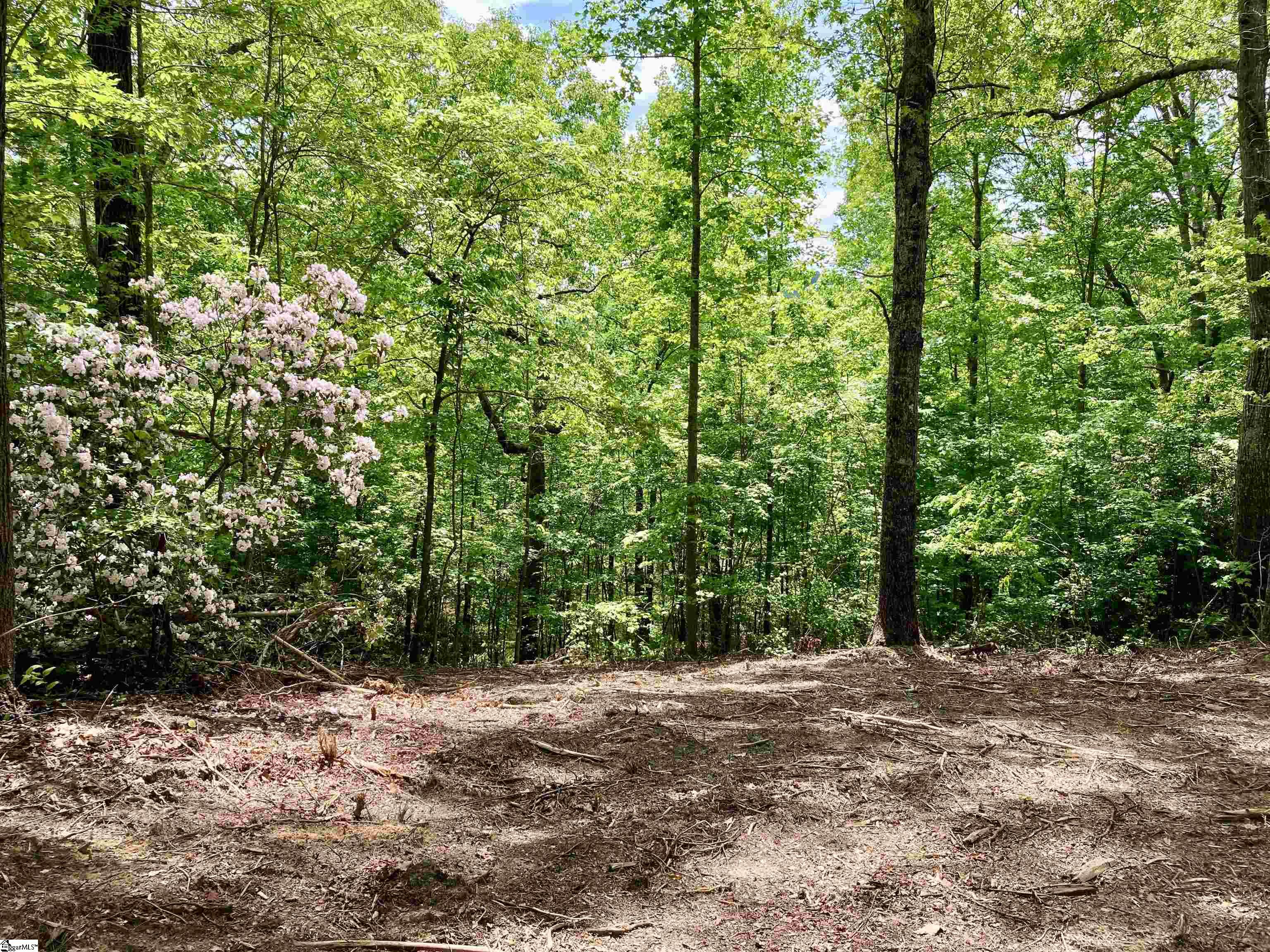5 Water View Court, Travelers Rest SC 29690