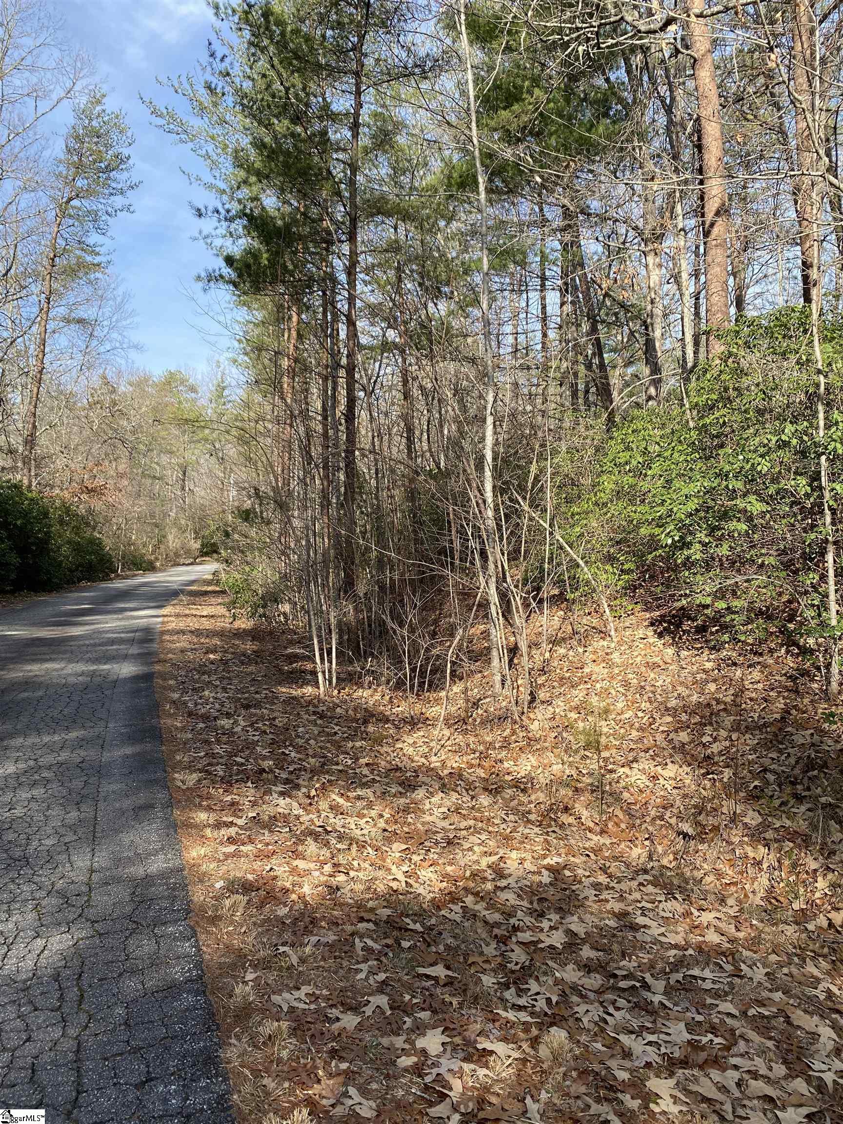 326 Gauley Falls Road, Pickens SC 29671
